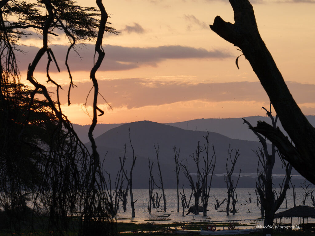 Sonnenuntergangsszene